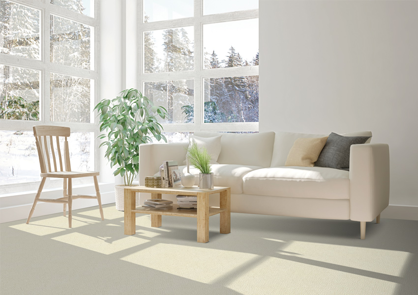light greige carpet in living room with white couch and wood coffee table.